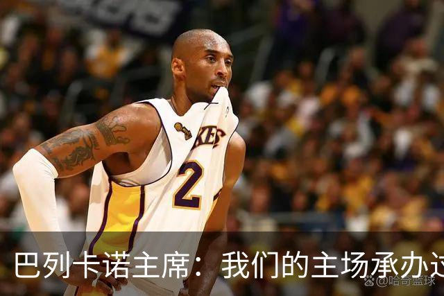 巴列卡诺主席：我们的主场承办过300多场赛事，从未出现安全事故