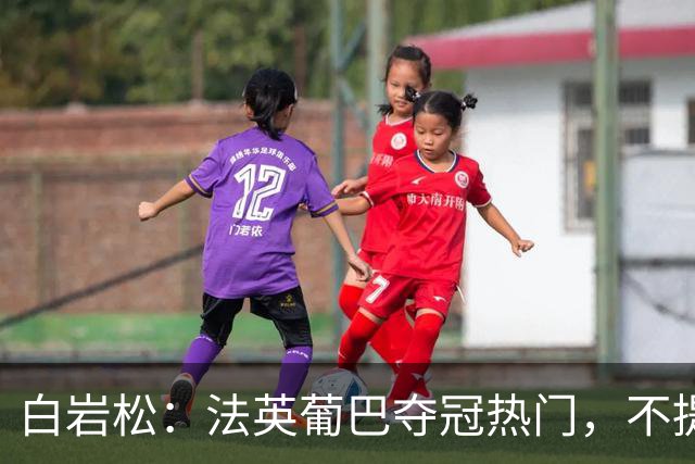 白岩松：法英葡巴夺冠热门，不提阿根廷因为是真喜欢我怕我像贝利